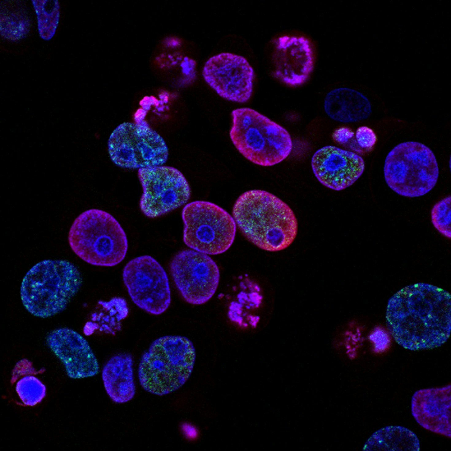 Exploring the Possibilities of Customized Genetics